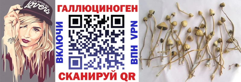 Галлюциногенные грибы ЛСД  хочу   Мариинск 